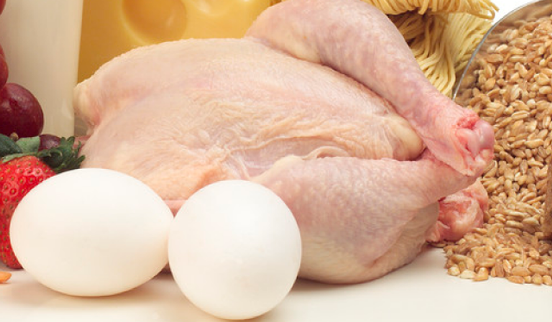 Пищевая мяса птицы. Курица с яйцами. Курица мясо. Куриное мясо и яйца. Домашняя курица.